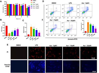 Corrigendum: The Mechanism of Aureusidin in Suppressing Inflammatory Response in Acute Liver Injury by Regulating MD2